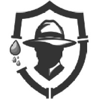 Drain Detectives logo - Similar company to Drain Detectives