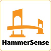 HammerSense Consulting logo - Similar company to Overflow