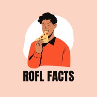 Rofl facts logo - Similar company to Rofl - Digital Marketing Consultancy