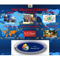 The Pranali Group logo - Similar company to Zyra Foundation