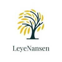 Leye Nansen logo - Similar company to Rovecom Q-Ray