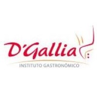 Instituto Alta Cocina D'Gallia logo - Similar company to Instituto De Gastronomía Y Gestión Culinaria Inteci