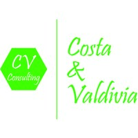 Costa & Valdivia Consultores logo - Similar company to Save Insurance