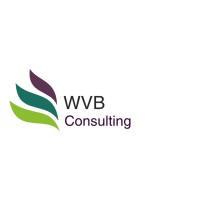 WVB Consulting logo - Similar company to Dibots