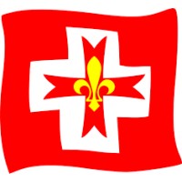 Scoutisme Européen Suisse logo - Similar company to Helikaon