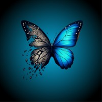 Empower Me Coaching & Counseling