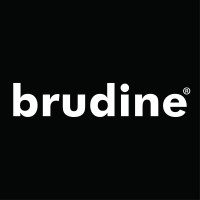 Brudine Profissionais logo - Similar company to Alianca Comercio Atacado