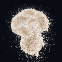 Hashy logo - Similar company to Lowtemp Industries