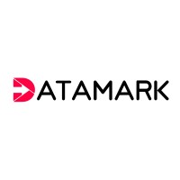 The Data Mark logo - Similar company to Data Ikseer