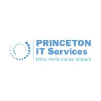 Princeton IT Services logo - Similar company to Efficience Llc