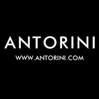 ANTORINI.COM logo - Similar company to Savea