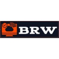 Best Remote Workers logo - Similar company to Reactbytes