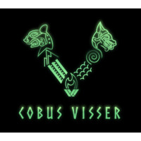 CobusVisser Viking logo - Similar company to Imagine Studios