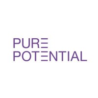 Pure Potential logo - Similar company to Sidus Insights