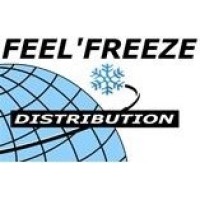FEEL'FREEZE logo - Similar company to 2Dmo