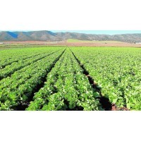 SPANISH AGRICULTURE INVESTMENT FUND - H.L.C HORACIO LÓPEZ CARVAJAL logo - Similar company to Bionatur Power  Pure. Powerful. Natural.