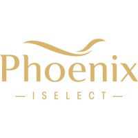 Phoenix Mattress logo - Similar company to Sruly G