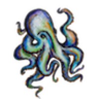 OktoAnalytics logo - Similar company to Sharper Digital