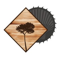 Scierie de Saint Yaguen (SSY) logo - Similar company to Scierie Roger