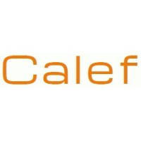 Calef logo - Similar company to Xnutshell - Ideas. Built. Delivered.