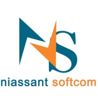 Niassant Softcom logo - Similar company to Drs Analytics