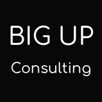 Big Up Consulting