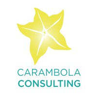 Carambola Consulting logo - Similar company to Rocketshippr