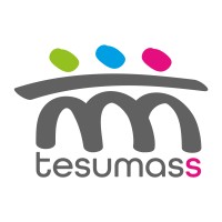 Tesumass, Marketing Online y Comunicación logo - Similar company to 2902 Medios