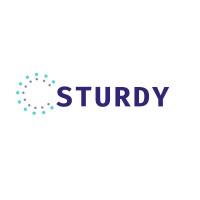 Sturdy Information Technology Services logo - Similar company to Changeschool London
