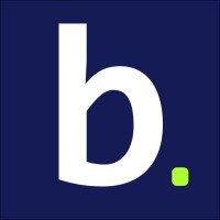 Brysona Consulting logo - Similar company to Ssh Consultant