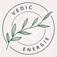 Vedic Energie logo - Similar company to Appygas