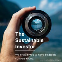The Sustainable Investor