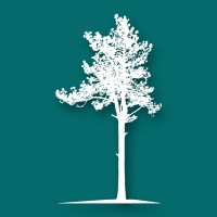 Southeastern Acquisition Advisors logo - Similar company to Apexbrokerage.Co
