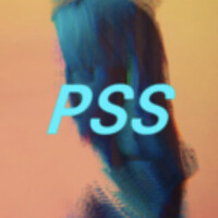 Pixel Sorter Studio logo - Similar company to Pebroc