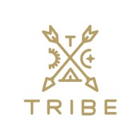 Tribe Interactive | WooCommerce Expert Agency logo - Similar company to Digitenium