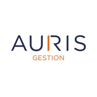 Auris Gestion logo - Similar company to Anaxis Am