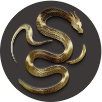 Dragon's Vault logo - Similar company to Alty