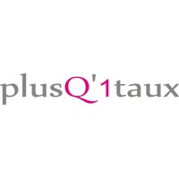 plusQ1taux logo - Similar company to Glassip