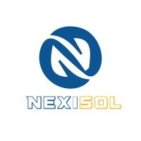 NexiSol IT Solutions logo - Similar company to Nexisol