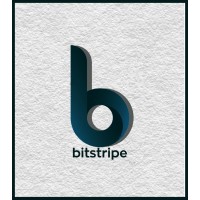 Bitstripe Technologies logo - Similar company to Bytestrype