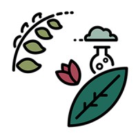 NatureSense Cosméticos Naturais logo - Similar company to Crystalise Group