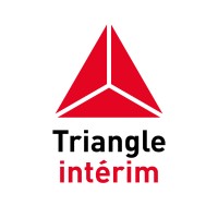 Triangle intérim Nederland logo - Similar company to Techvisie