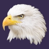 Freedom Wealth Management logo - Similar company to Corecap Advisors, Llc