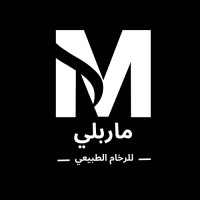 Talal Yousef LLC (Marbley.co) logo - Similar company to Techroute66 Ltd