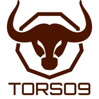Torso Nine Design Creations Pvt Ltd logo - Similar company to Skets Projects