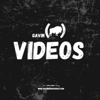 Gavin (Bison) Videos LLC 🎥 logo - Similar company to Wtvo-Tv/Wqrf-Tv