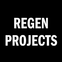 Regen Projects logo - Similar company to Night Gallery