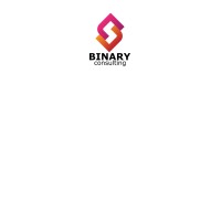 Binary Consulting logo - Similar company to Binary