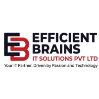 EfficientBrains IT Solutions Pvt Ltd logo - Similar company to Planet E-Com Solutions (Pecs)