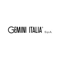 GEMINI ITALIA s.p.a logo - Similar company to Lte Srl